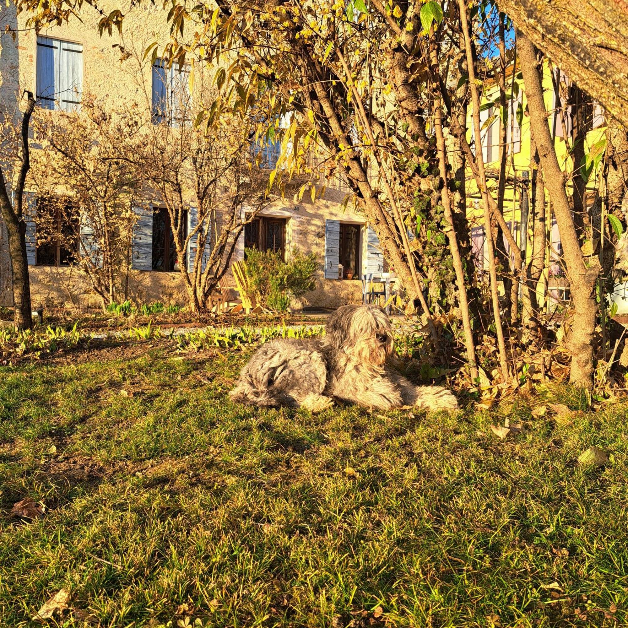 Casadesergio Refrontolo Exteriör bild