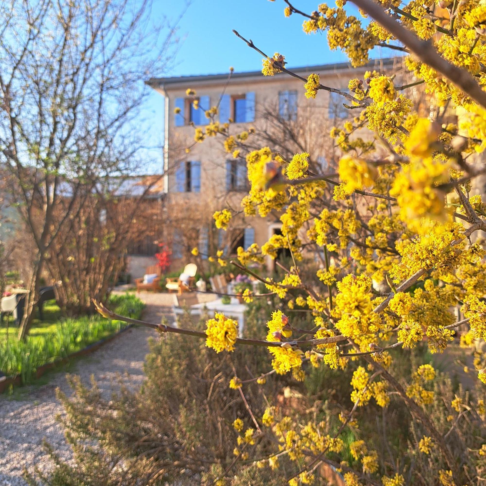 Casadesergio Refrontolo Exteriör bild