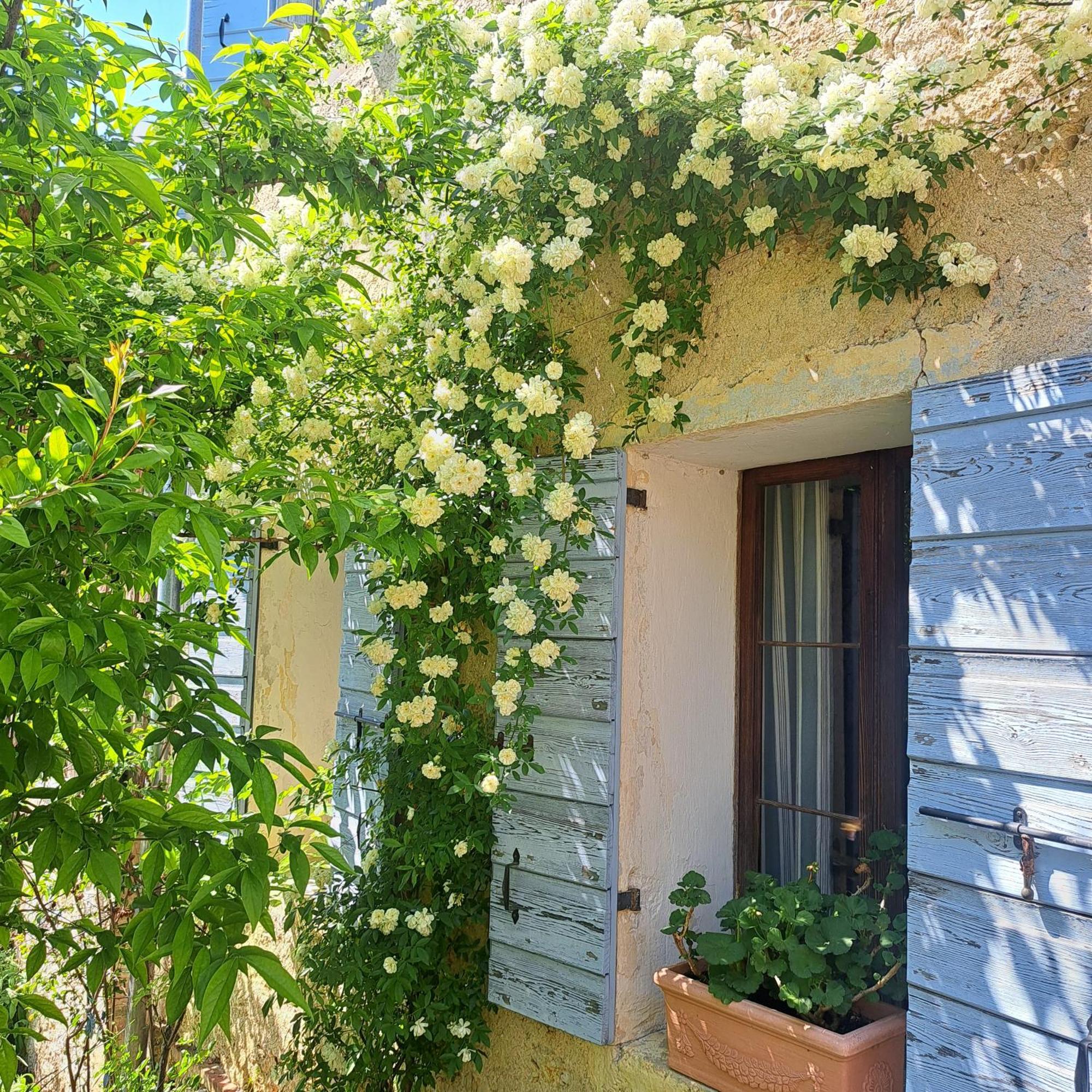 Casadesergio Refrontolo Exteriör bild
