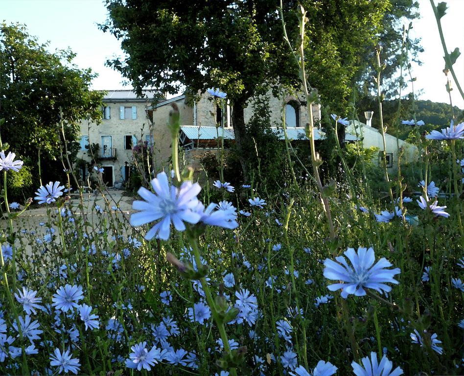 Casadesergio Refrontolo Exteriör bild